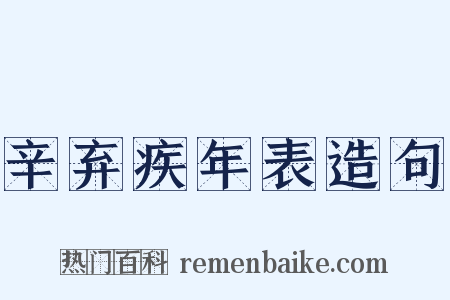 辛弃疾年表造句是什么意思的图片